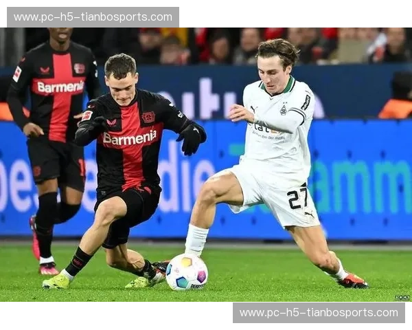 狼堡之殇，大黄蜂翱翔：多特蒙德vs沃尔夫斯堡，一场足球与激情的碰撞